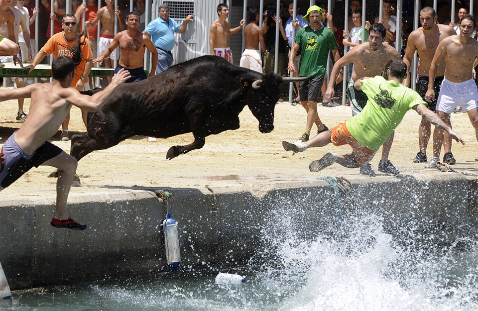 a bull charges man
