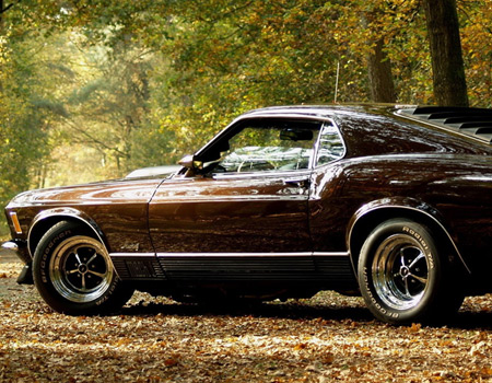 ford mustang at autumn