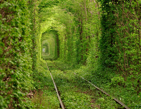 green tunnel
