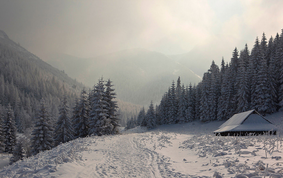 winter paradise cabin