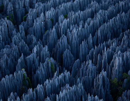 stone forest in madagascar