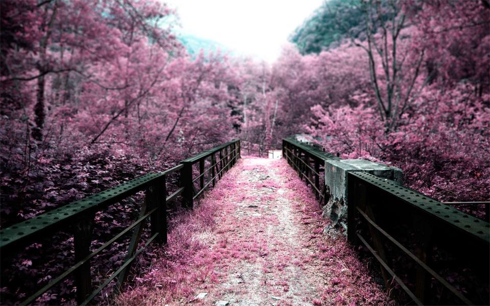 surreal pink bridge