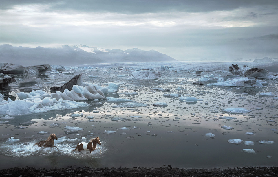 horses of iceland lagoon