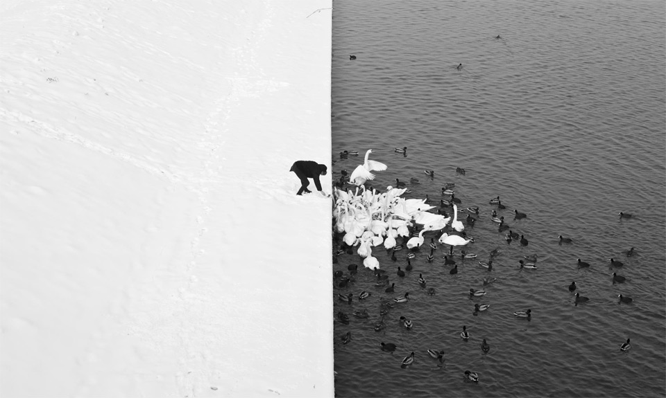 World Under Snow in 12 Magical Photos