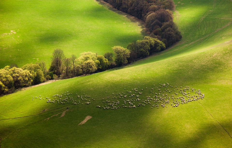 fields of slovakia