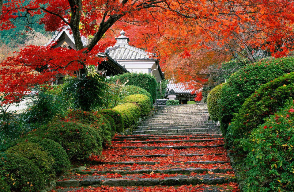 garden stairs in kyoto, japan