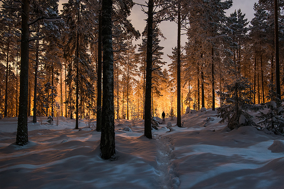 mysterious glowing light in a finland forest