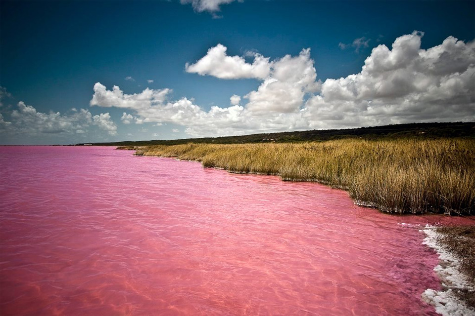 the pink lake, senegal