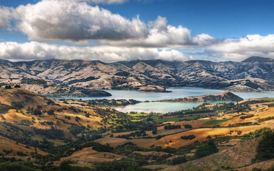 exploring new zealand landscapes