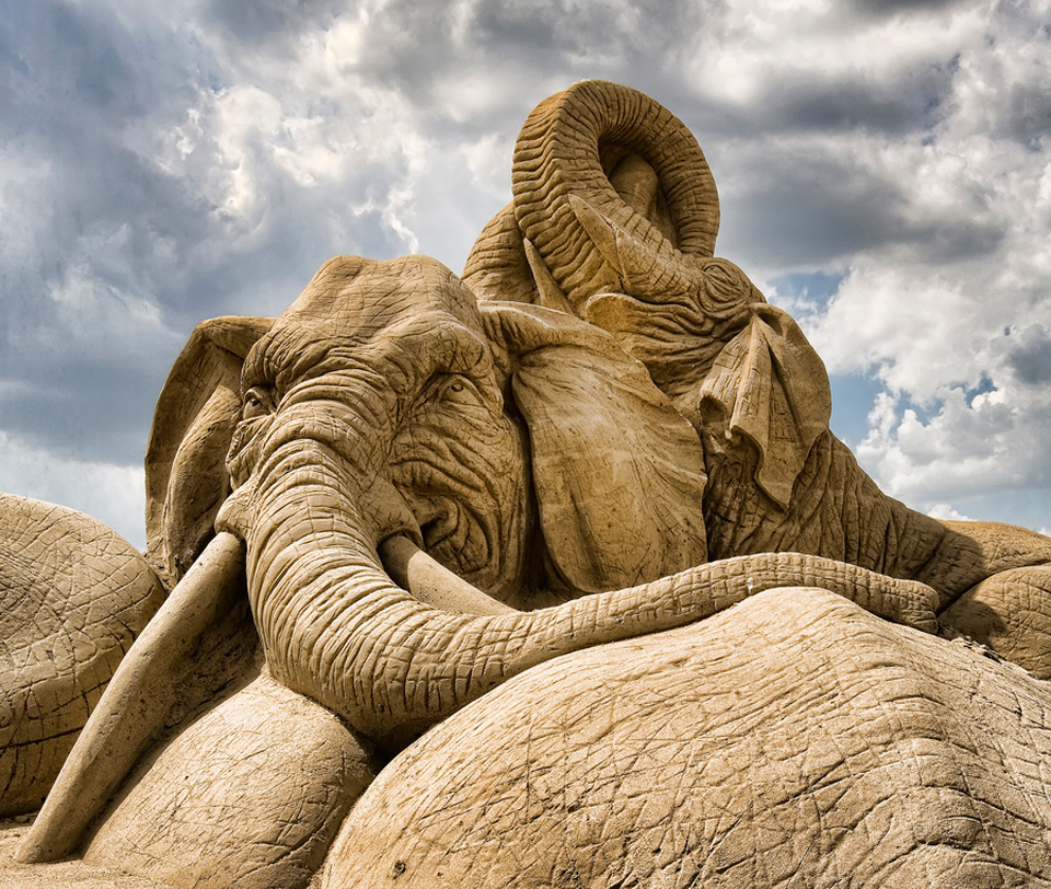 amazing elephant sand sculpture