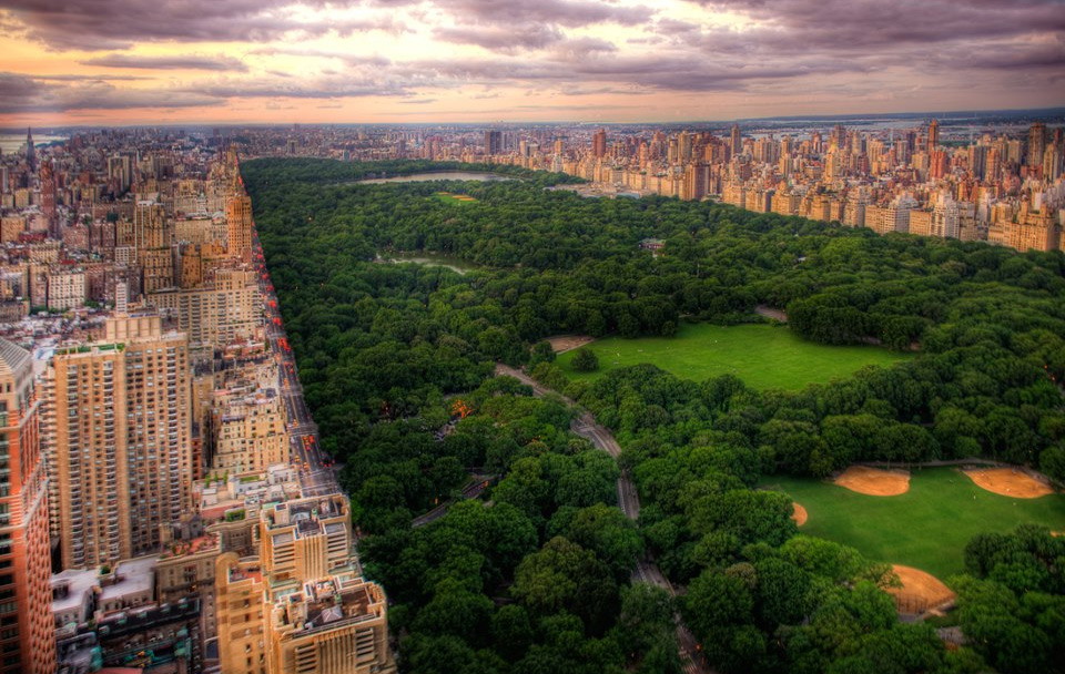 central park and new york city