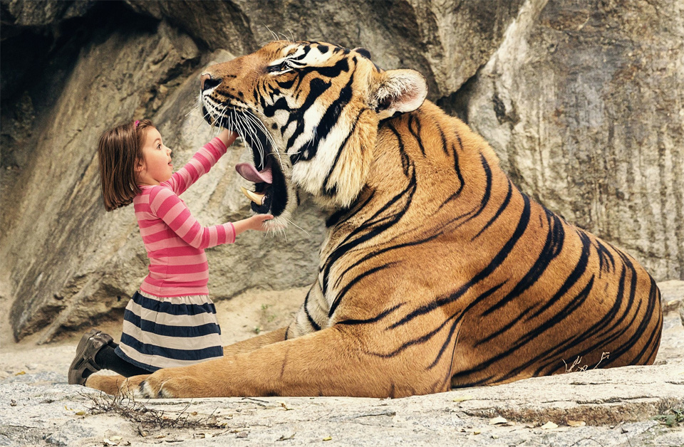 say “aaahhh” big tiger