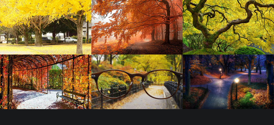 Beautiful Colors of Autumn in Photography