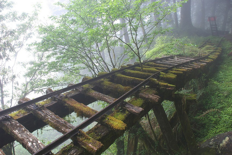 abandoned rail bridge in taiwan