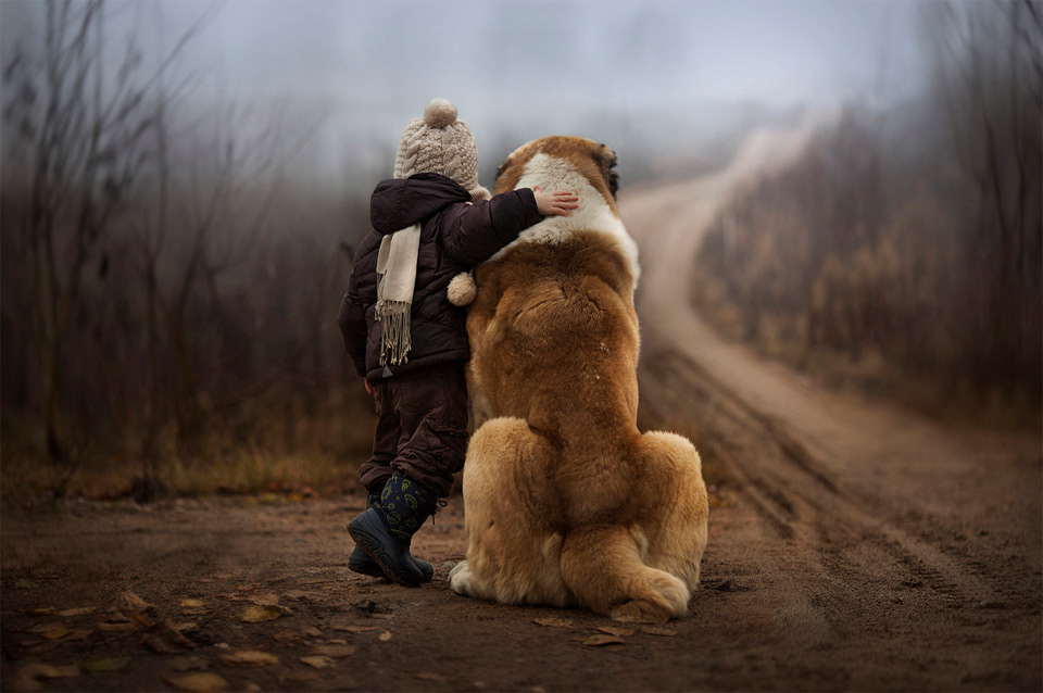 The Amazing World Of Dogs In Photography PART 2