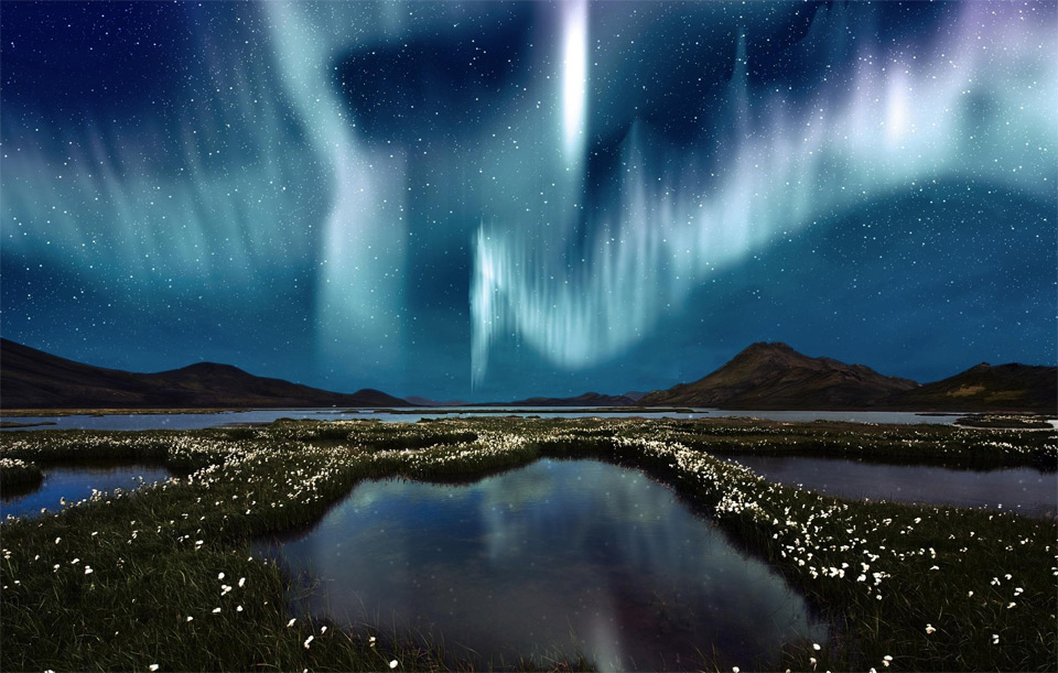 northern light over wildflowers, iceland