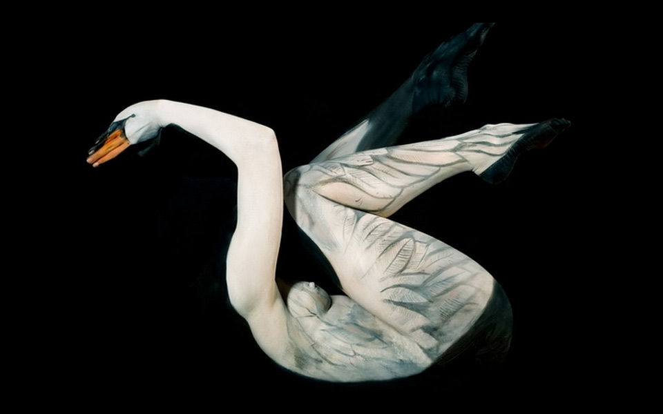 swan body art