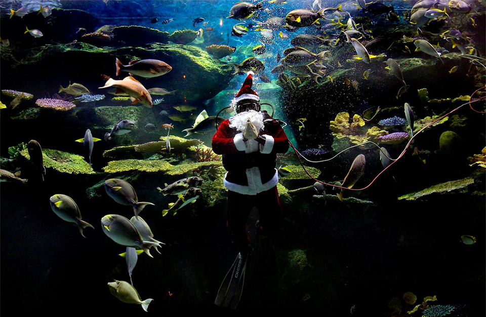 underwater santa
