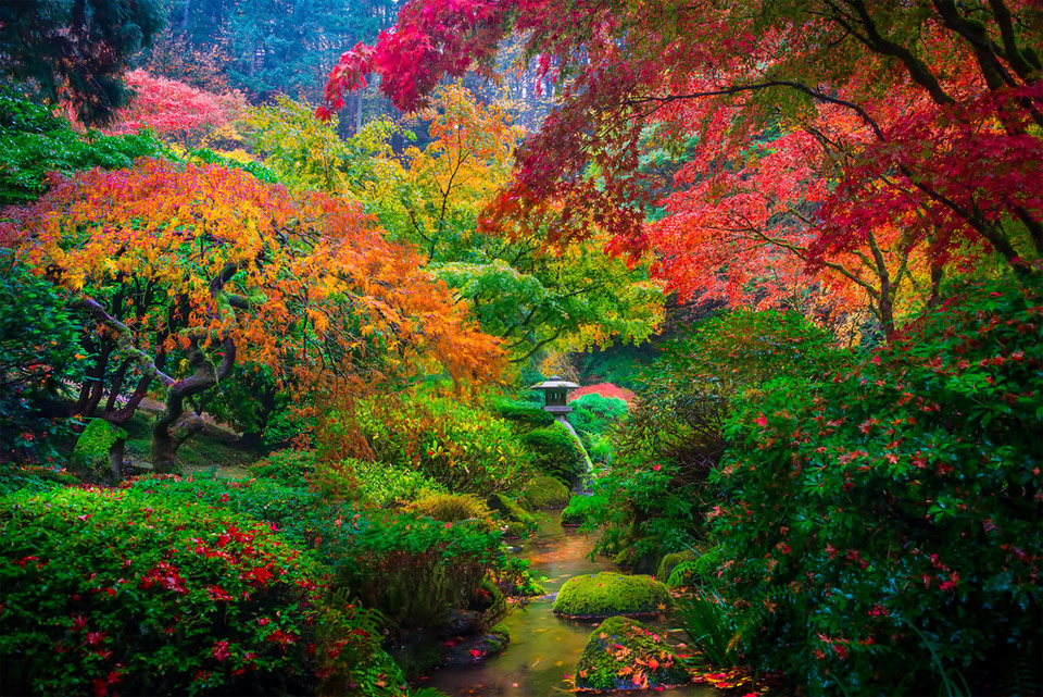 The Colors Of Japanese Garden In Portland