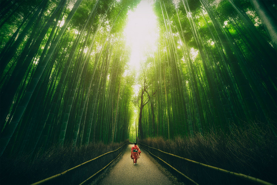 bamboo groves of arashiyama, japan