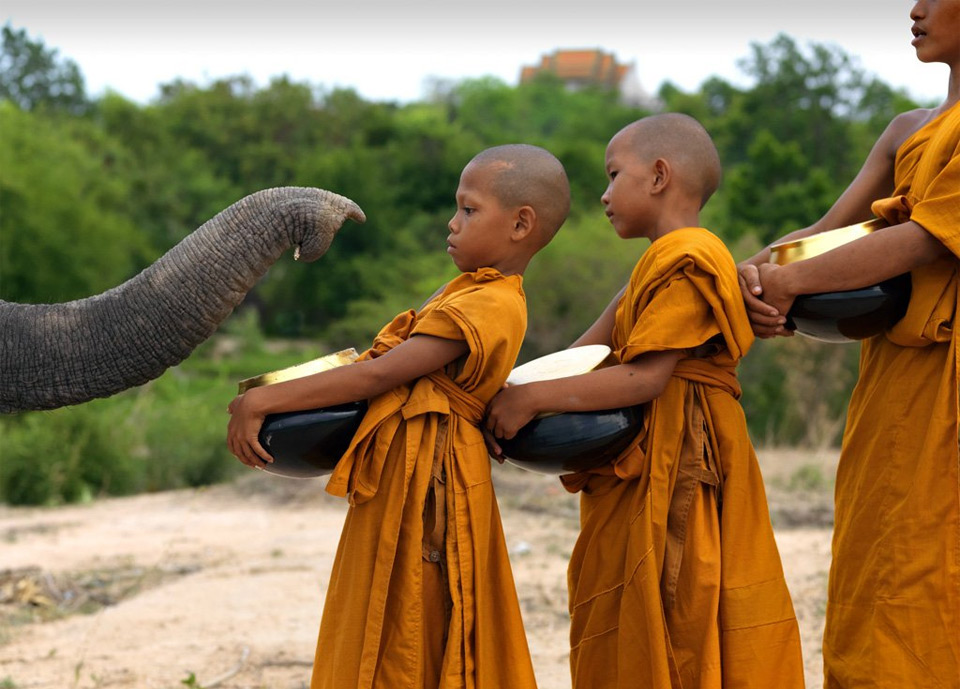 elephant welcoming buddhist monk kids