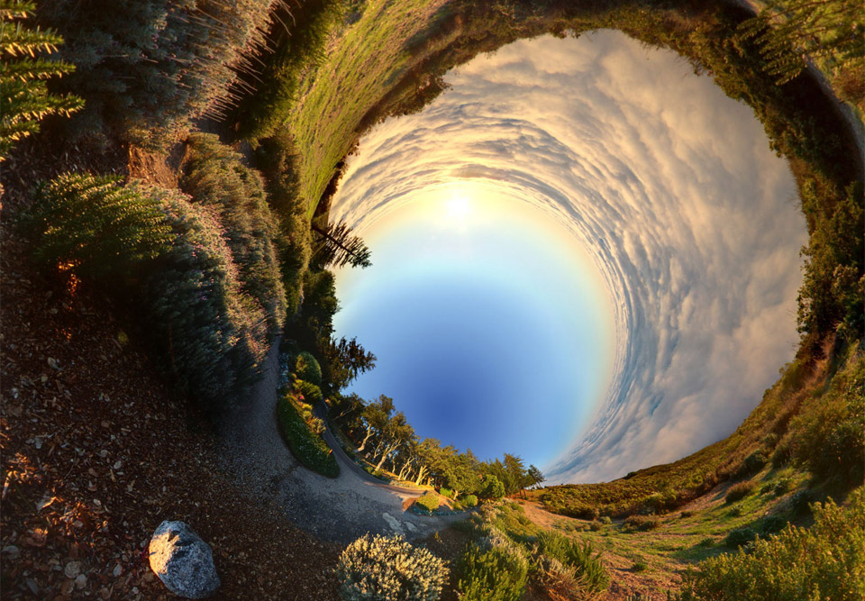 falling down the rabbit hole