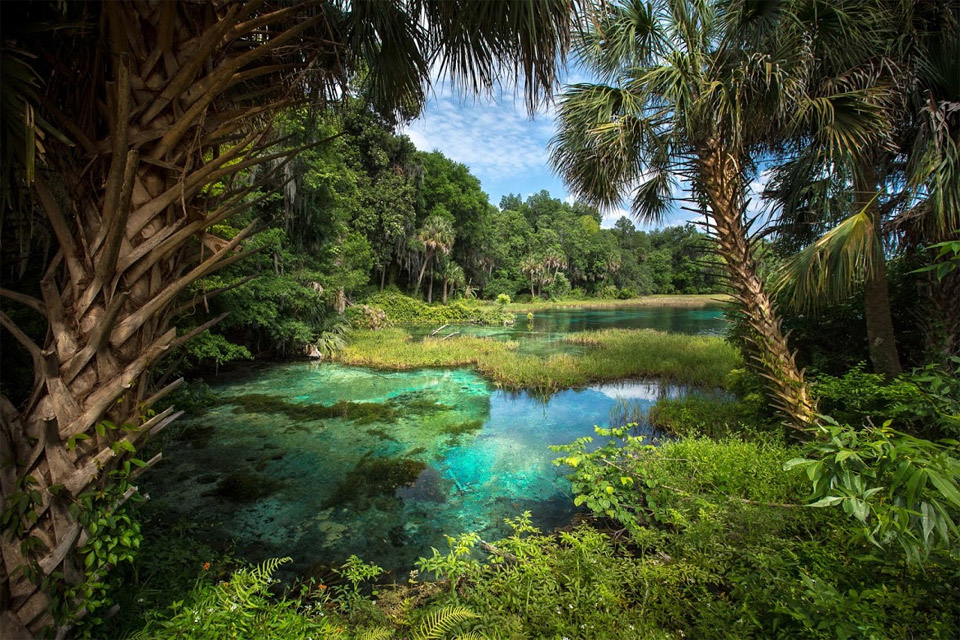 natural freshwater springs, florida