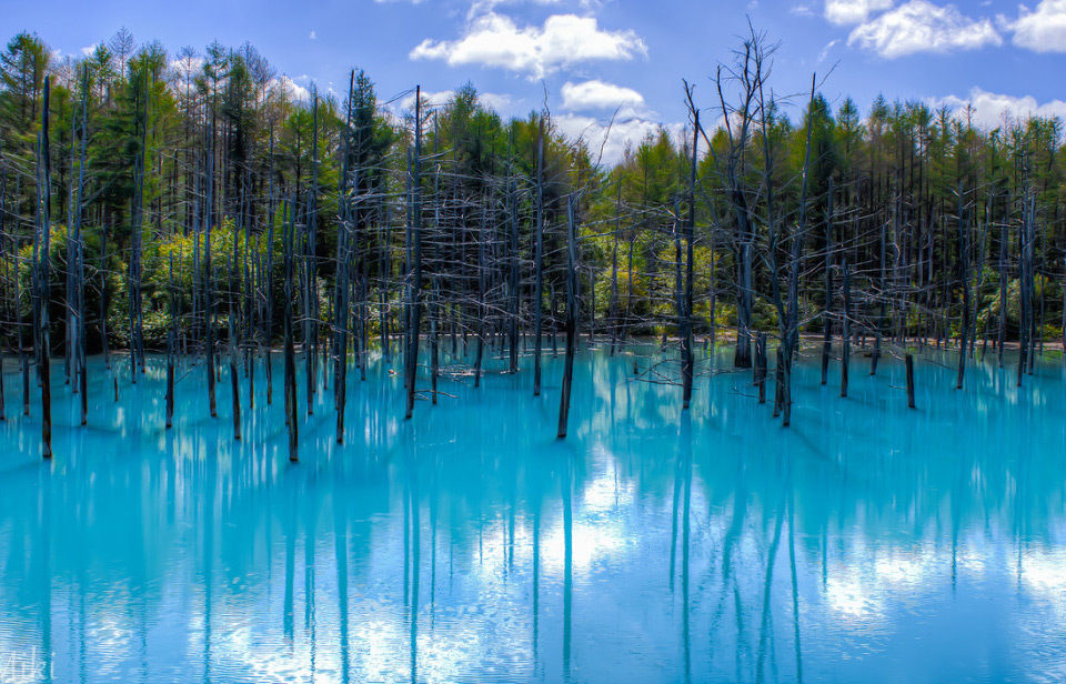 blue pond, japan