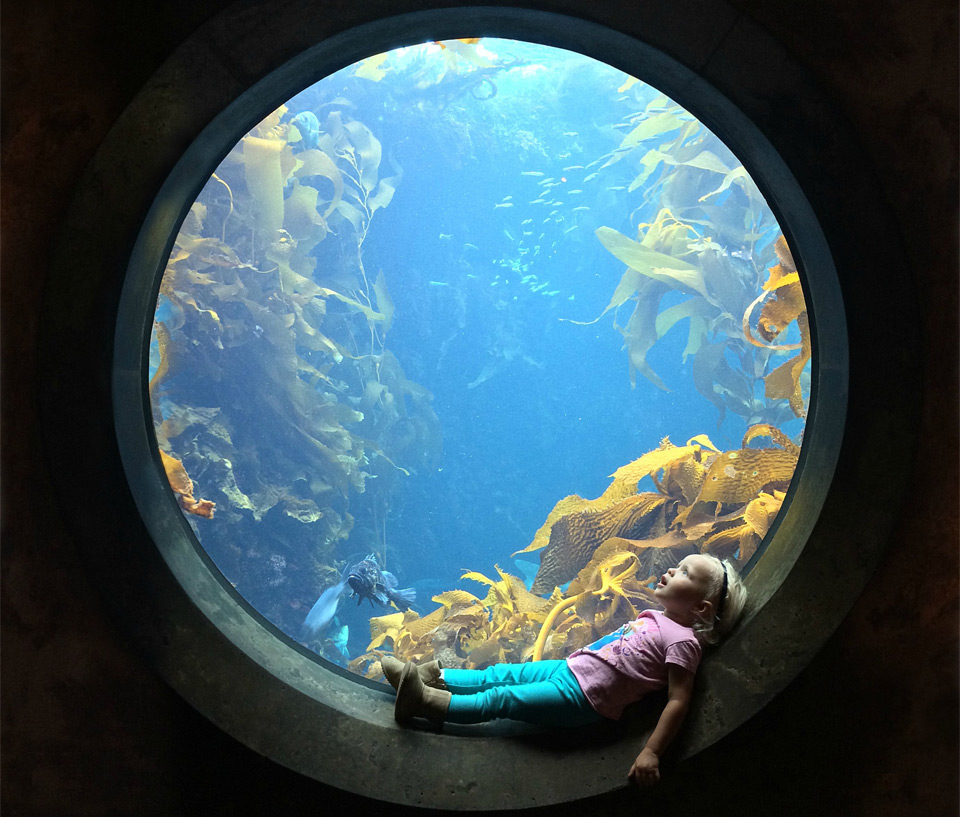 little girl at the aquarium