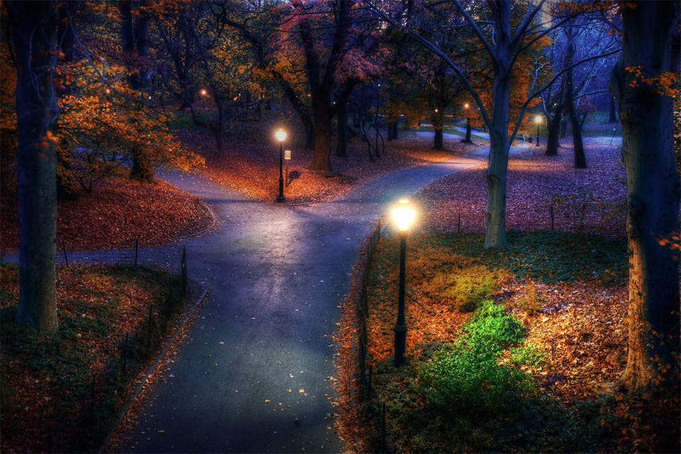 central park at autumn