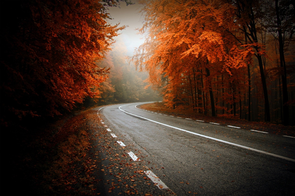 autumn in transylvania, romania