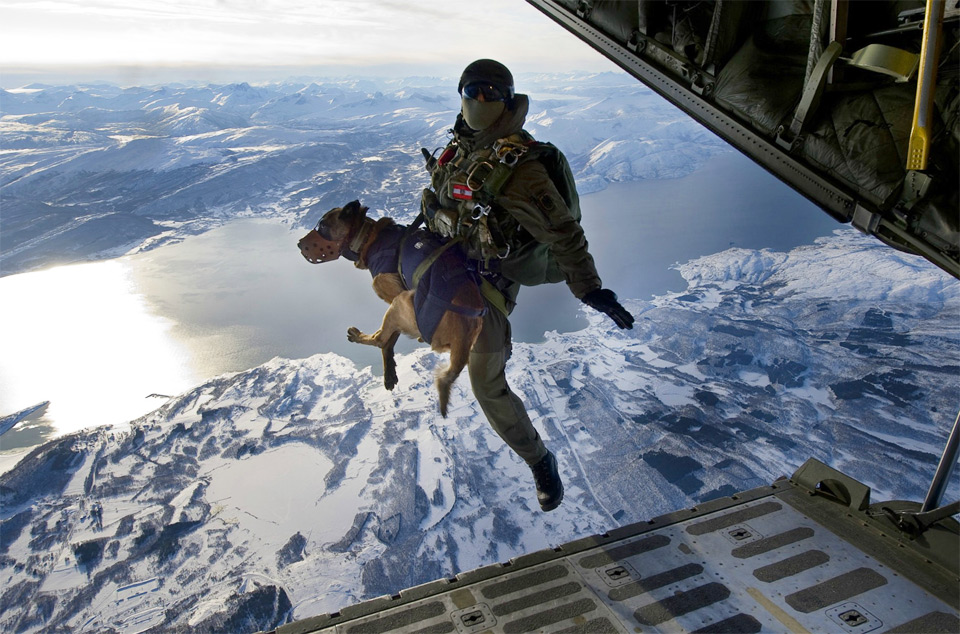 jumping from a plane with a dog