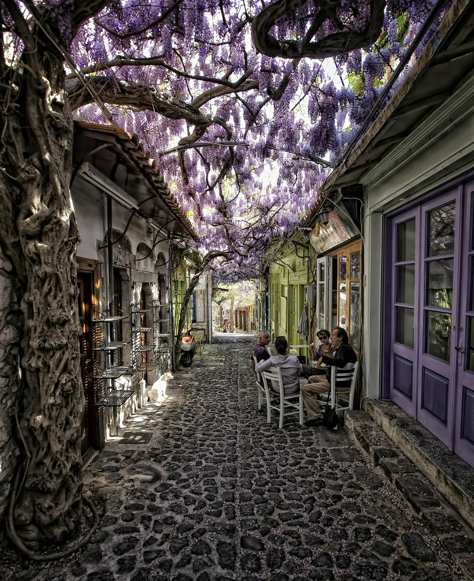 Magical Flower Street In Greece