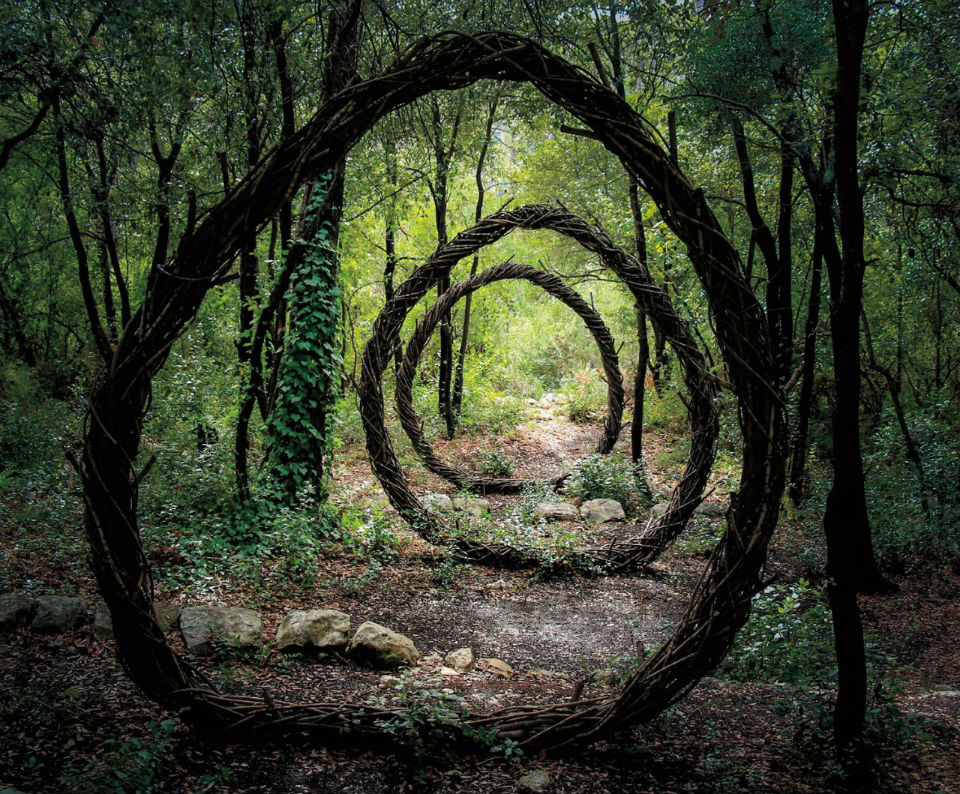 Nature Inspired Sculptures In Deep Forest