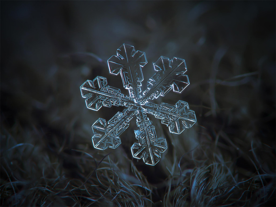 These Amazing Macro Photos of Snowflakes Show Nature’s Perfect Design