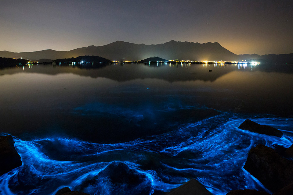 Blue Glowing Sea Phenomenon, Hong Kong