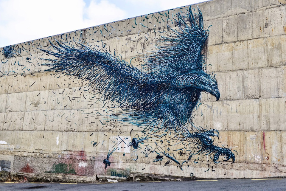 Awesome Eagle Street Art In Dunedin, New Zealand