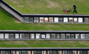 Mowing The Grass On Roof Of A Building, Faroe Islands