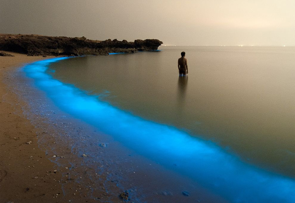 Plankton Lights At Beach Of Larak, Iran