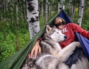 Tree Camping With A Dog