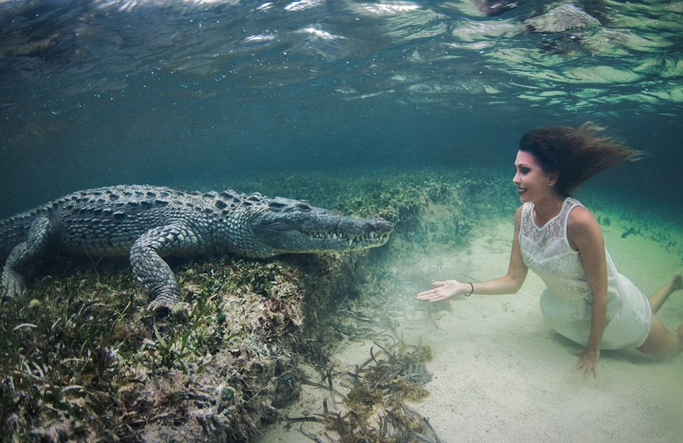 Girl Swims With A Crocodile, Mexico