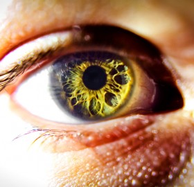 beauty of the human eye