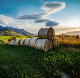 bales of hay fields, new zealand