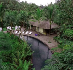 bali resort, deep into jungle