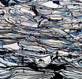 flooded rice fields in china