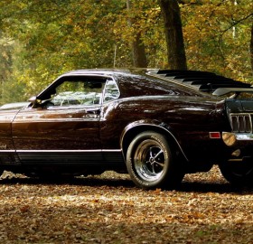 ford mustang at autumn