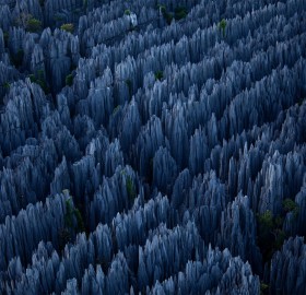 stone forest in madagascar