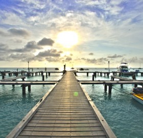 dock in aruba