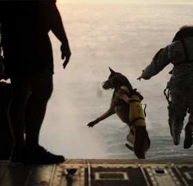 dog and soldier jumping out of helicopter