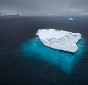 penguins floating on iceberg